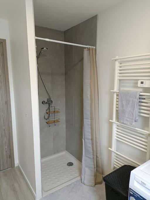 Appartement Entier F3 Renove - Petite Pause A Sélestat Exterior foto